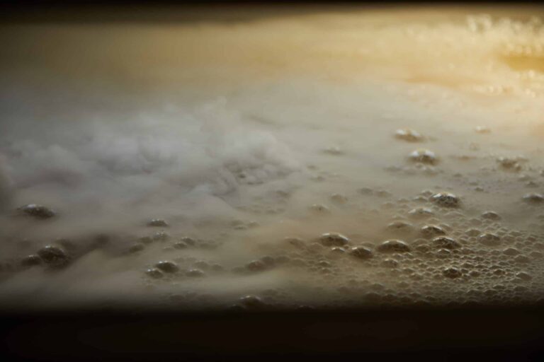 Jus pressé et préparation